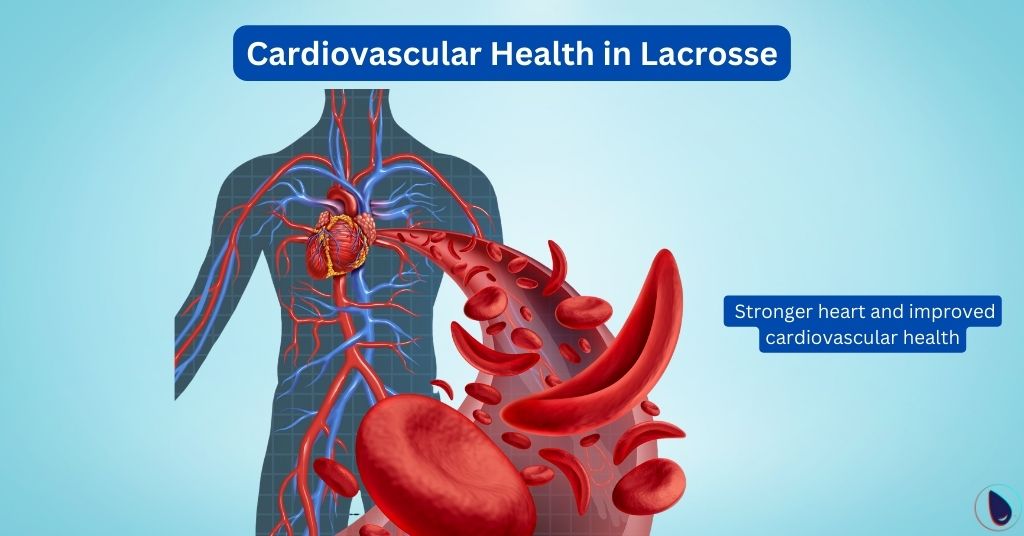 Cardiovascular Health in Lacrosse