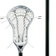 ecdRebelOffensecf5Elite